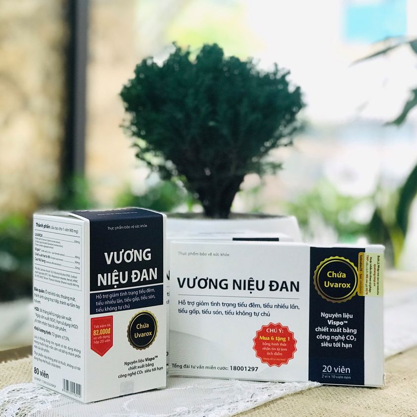 Vương Niệu Đan dùng được cho đối tượng nào? 1 Vương Niệu Đan dùng được cho đối tượng nào? 1