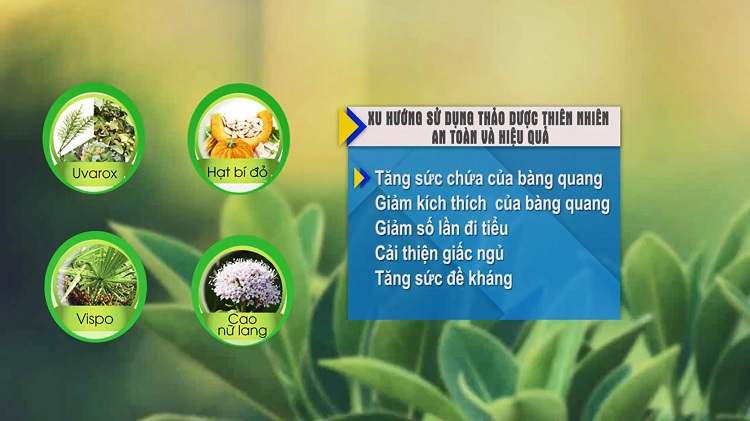 Vương Niệu Đan – Giữ lại hoàn hảo các tinh chất quý, hàm lượng chiết xuất tối ưu - Giải pháp cải thiện t 1 Vương Niệu Đan – Giữ lại hoàn hảo các tinh chất quý, hàm lượng chiết xuất tối ưu - Giải pháp cải thiện t 1