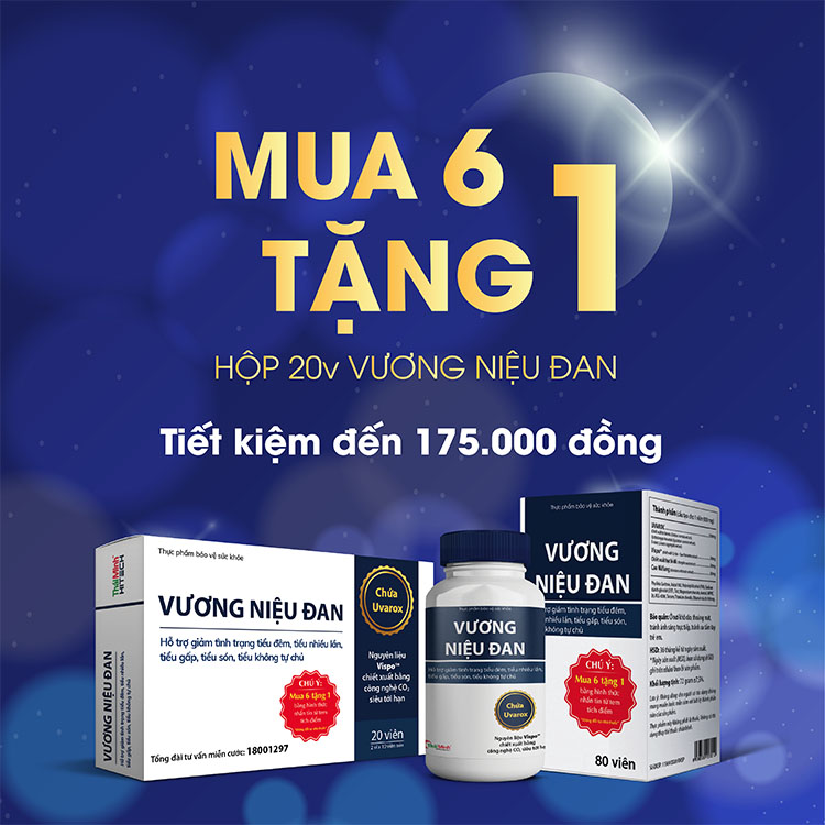 ƯU ĐÃI ĐẶC BIỆT: Mua 6 hộp Vương Niệu Đan 20 viên được tặng 1 hộp 20 viên