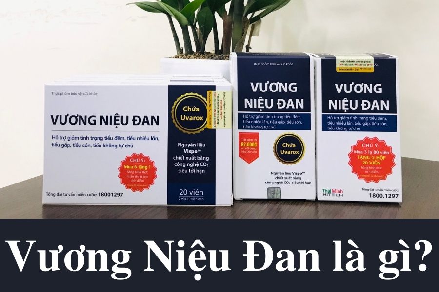 Vương Niệu Đan là gì? 1