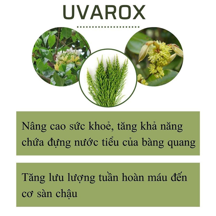 3. Các thành phần trong Vương Niệu Đan đều đã được thử nghiệm lâm sàng thực tế trên những người bệnh và 1