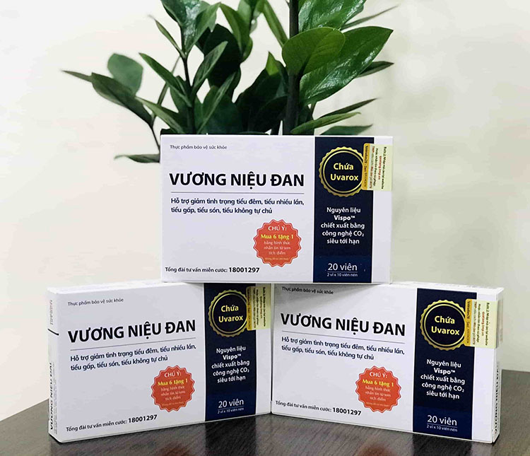 Vương Niệu Đan giá bán bao nhiêu 1 hộp?