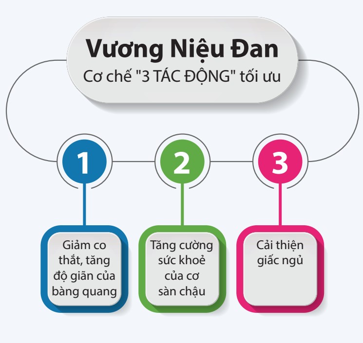 1. Sản phẩm Vương Niệu Đan với cơ chế “3 TÁC ĐỘNG” tối ưu 1