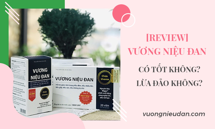 [Review] Vương Niệu Đan có tốt không? Lừa đảo không?