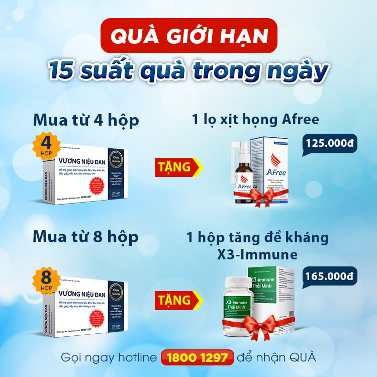 Ưu đãi hấp dẫn dành cho khách hàng mua Vương Niệu Đan 1