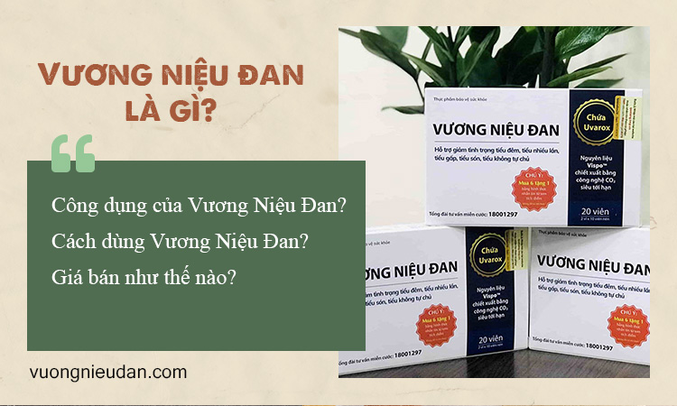 Vương Niệu Đan là gì? Công dụng, thành phần, giá bán?