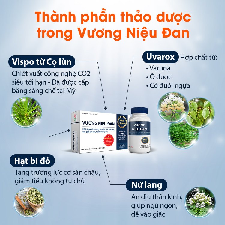 Công dụng của từng thành phần trong Vương Niệu Đan 1