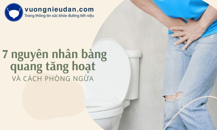 7 nguyên nhân gây bàng quang tăng hoạt và cách phòng ngừa