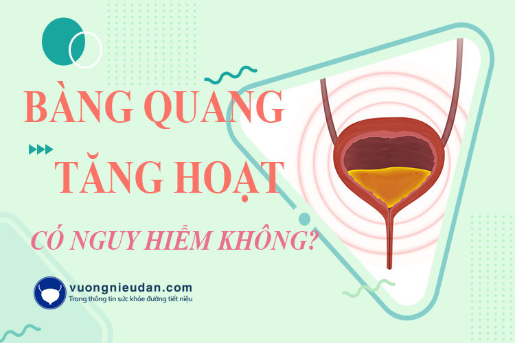 Bàng quang tăng hoạt có nguy hiểm không? Giải pháp là gì?