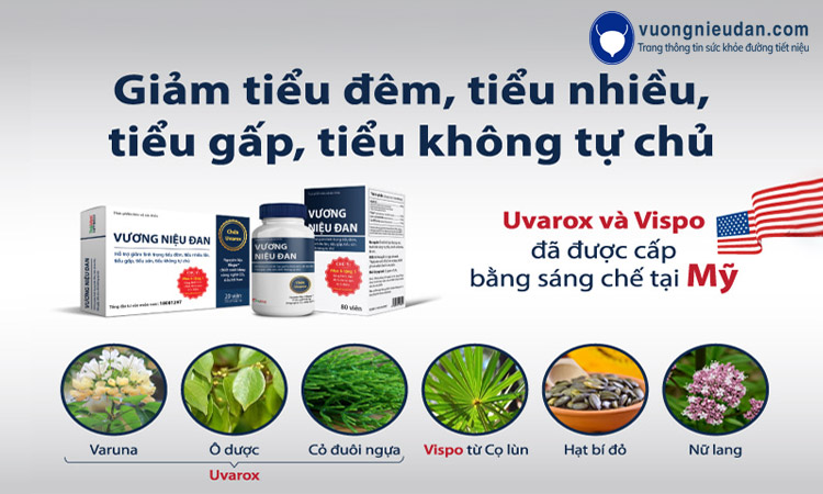 Vương Niệu Đan – hỗ trợ chữa trị bàng quang tăng hoạt hiệu quả 1