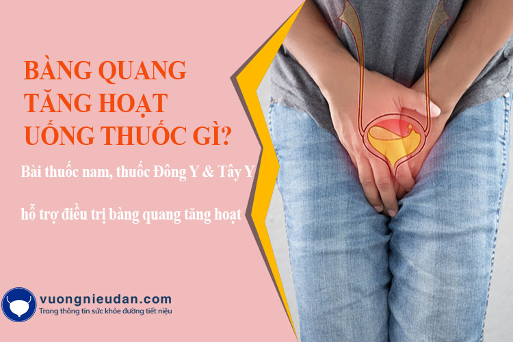 Thuốc điều trị bàng quang tăng hoạt hiệu quả hiện nay