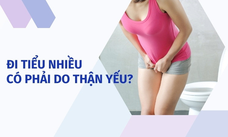 Đái nhiều có phải thận yếu? Cách cải thiện hiệu quả?