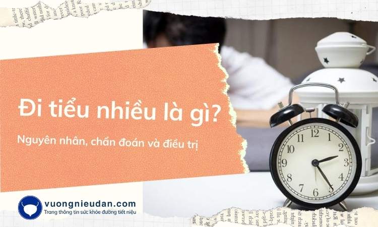 Hay tiểu đêm nhiều lần là gì? Cách chẩn đoán và điều trị 1