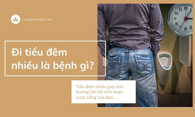 [Giải đáp] Hay tiểu đêm nhiều lần là bệnh gì? 1