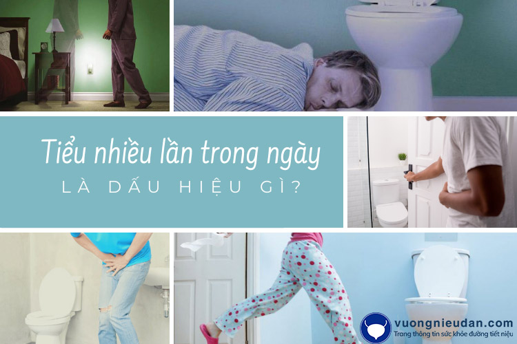 Đi tiểu nhiều lần trong ngày là dấu hiệu của bệnh gì?