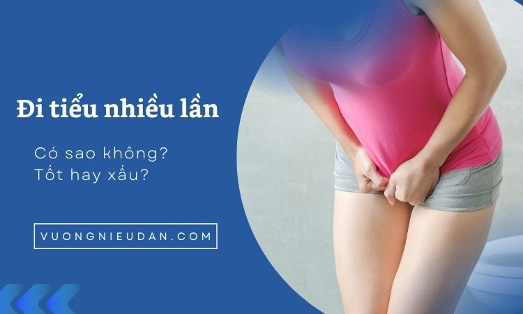 Đi tiểu nhiều lần có sao không? Tốt hay xấu?