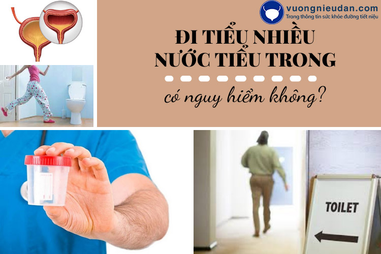 Đi tiểu nhiều nước tiểu trong có nguy hiểm không?