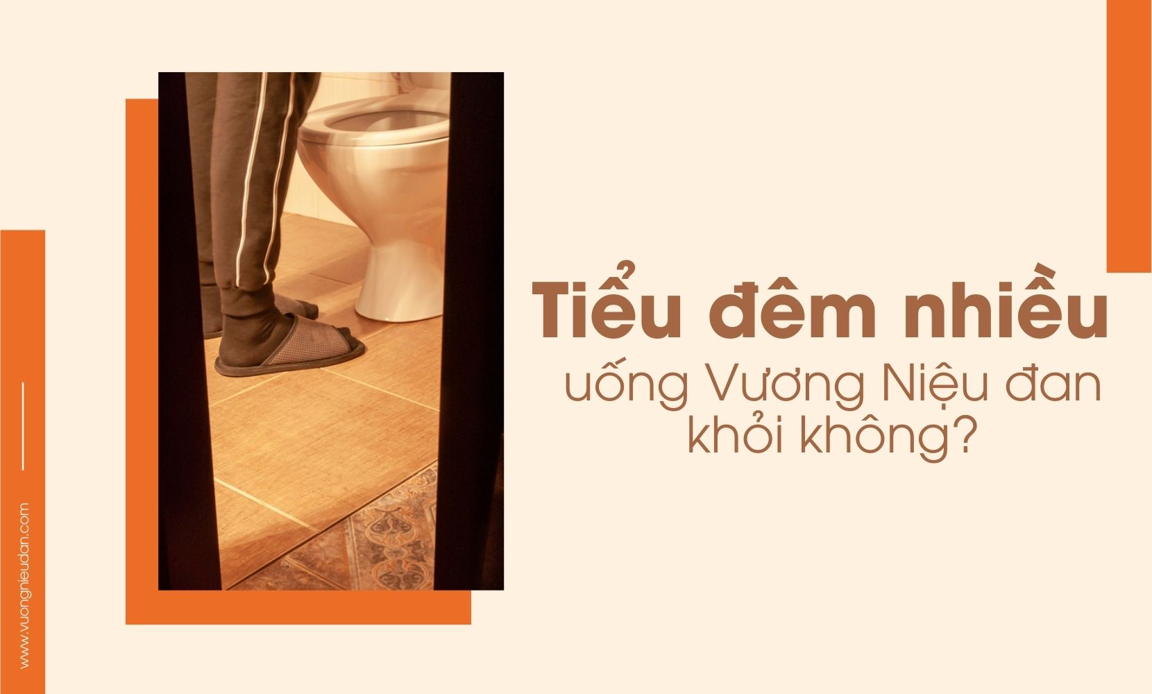 Sử dụng Vương Niệu Đan có trị khỏi đi tiểu đêm không?