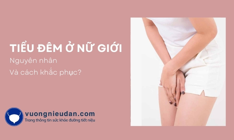 Đi tiểu đêm ở nữ giới có phải bệnh lý nguy hiểm không và những thông tin cần biết