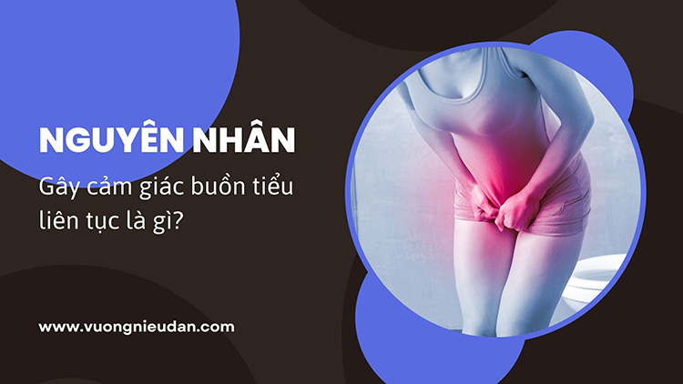 Cảm giác buồn đi tiểu liên tục nguyên nhân do đâu?