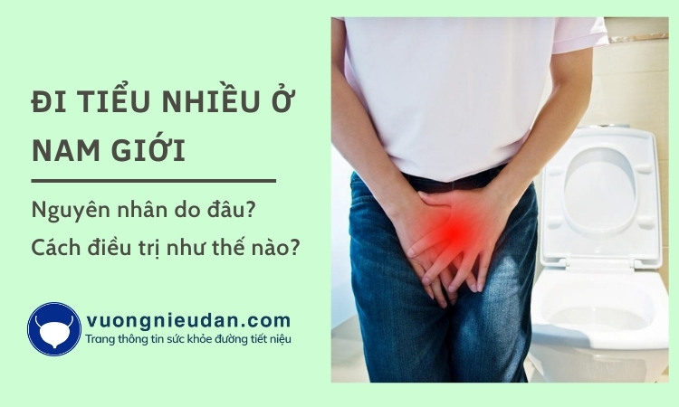 Đi tiểu nhiều lần trong ngày ở nam giới do đâu? Tác hại và cách khắc phục?