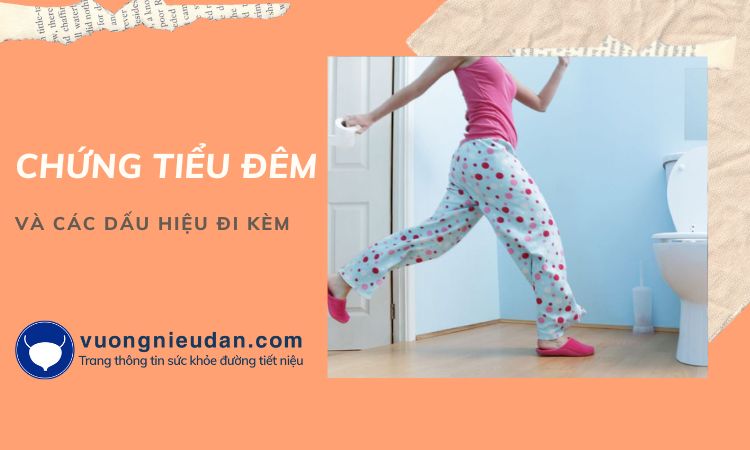 [Cảnh giác] Tiểu đêm và các triệu chứng đi kèm 1