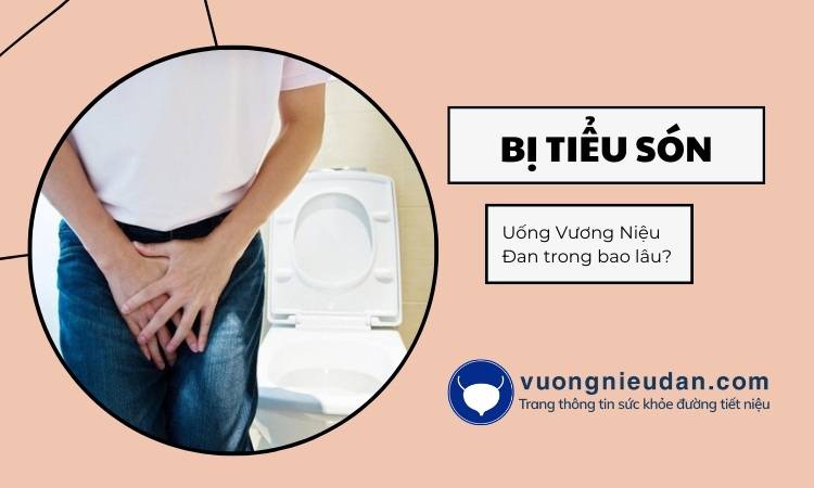 Em bị chứng tiểu són, uống Vương Niệu Đan trong bao lâu ạ