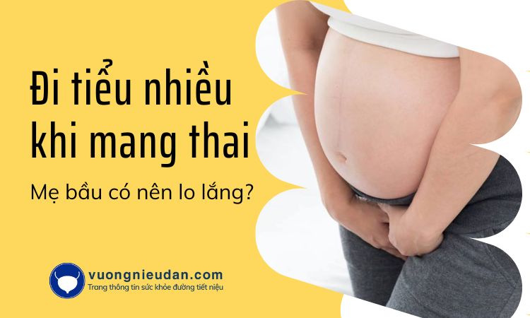 Đi tiểu nhiều khi mang thai - Mẹ bầu có nên lo lắng?