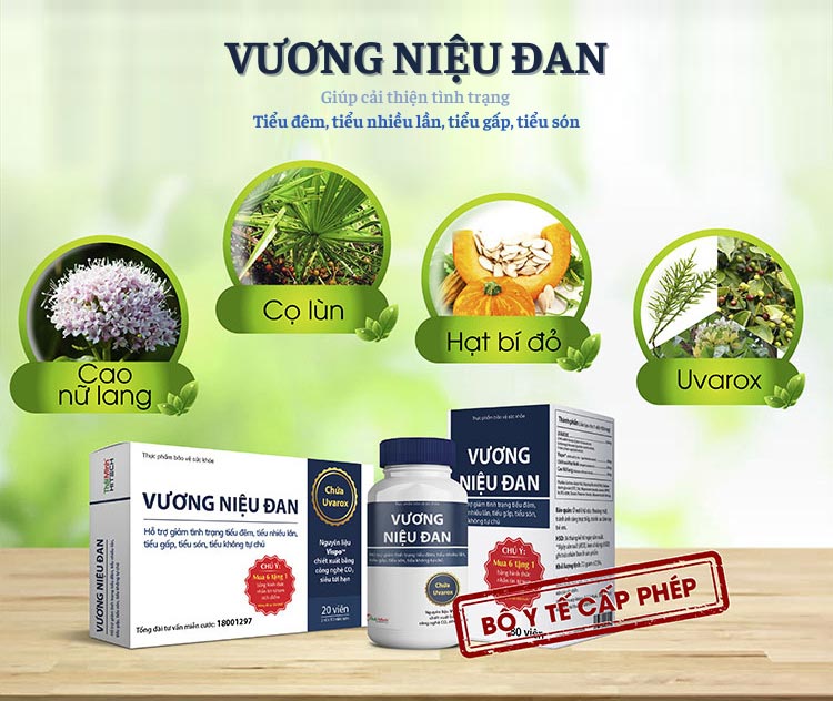 Vương Niệu Đan - Sản phẩm cải thiện tiểu đêm từ cọ lùn, ô dược, cỏ đuôi ngựa,...