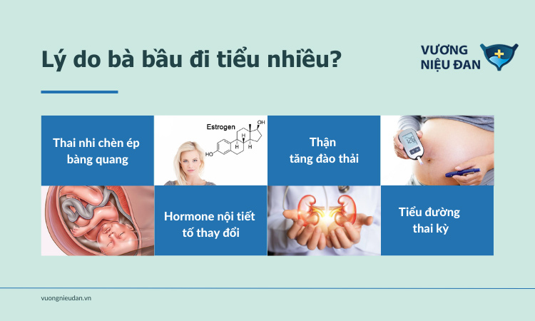 4 lý do chính khiến bà bầu đi tiểu nhiều