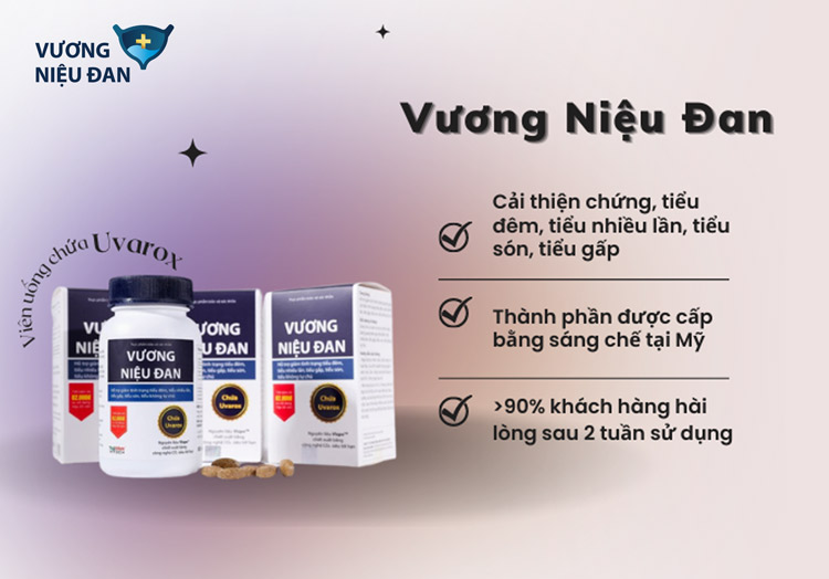 Vương Niệu Đan - Viên uống cải thiện tình trạng tiểu nhiều lần từ thiên nhiên