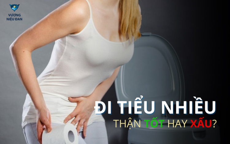 Đi tiểu nhiều thận tốt hay xấu? - Top 8 bệnh lý đáng báo động