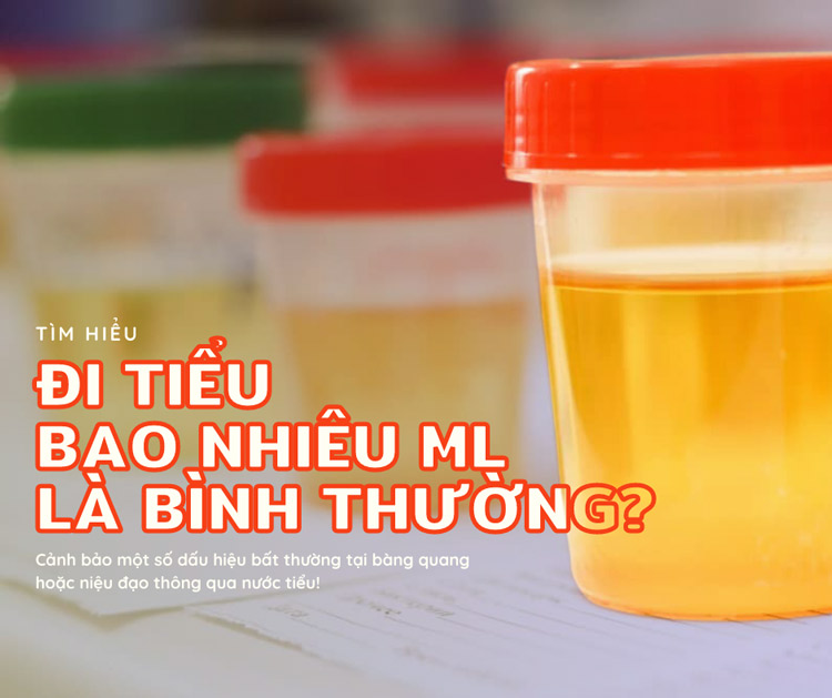 [Giải đáp] Mỗi lần đi tiểu bao nhiêu ml là bình thường?