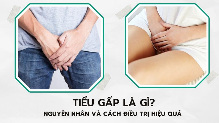 Tiểu gấp là gì? Nguyên nhân và biểu hiện thường gặp 