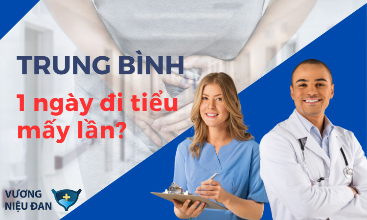 Trung bình 1 ngày đi tiểu mấy lần?