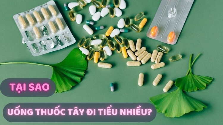 Nguyên nhân uống thuốc tây đi tiểu nhiều lần? Làm sao để khắc phục 