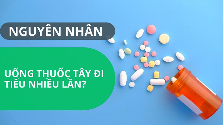 Thuốc tây y tác nhân lớn nhất gây đi tiểu nhiều lần, tiểu bí, tiểu không kiểm soát