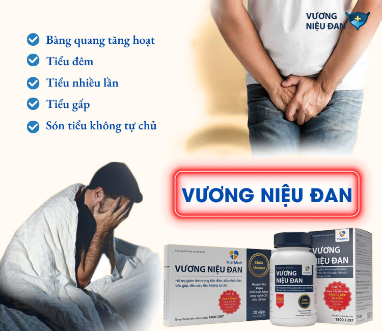 Vương Niệu Đan được thiết kế dành riêng cho những người đang gặp vấn đề tiểu tiện như tiểu đêm, tiểu gấp, tiểu són, tiểu nhiều lần