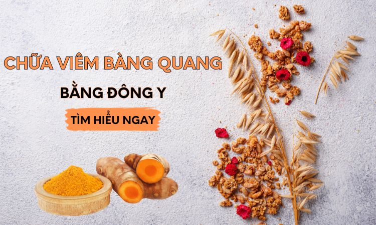 7+ bài thuốc chữa viêm bàng quang bằng đông y hiệu quả áp dụng ngay