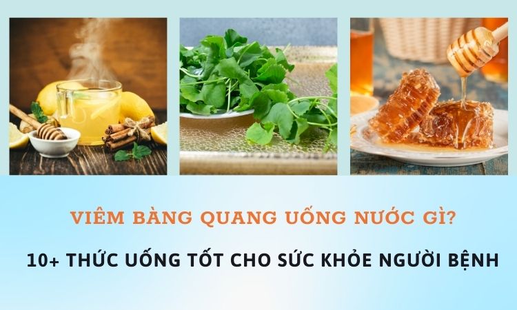 Viêm bàng quang uống nước gì? 10 thức uống tốt cho sức khỏe bệnh nhân