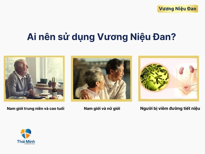 đối tượng sử dụng vương niệu đan