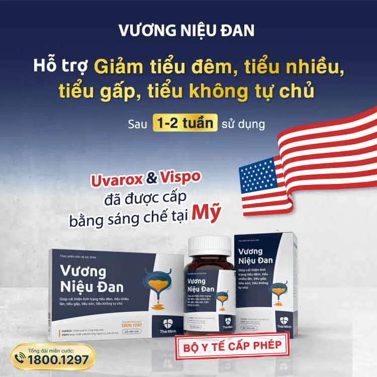 VND-750x750-T11-2022-(1)21.webp