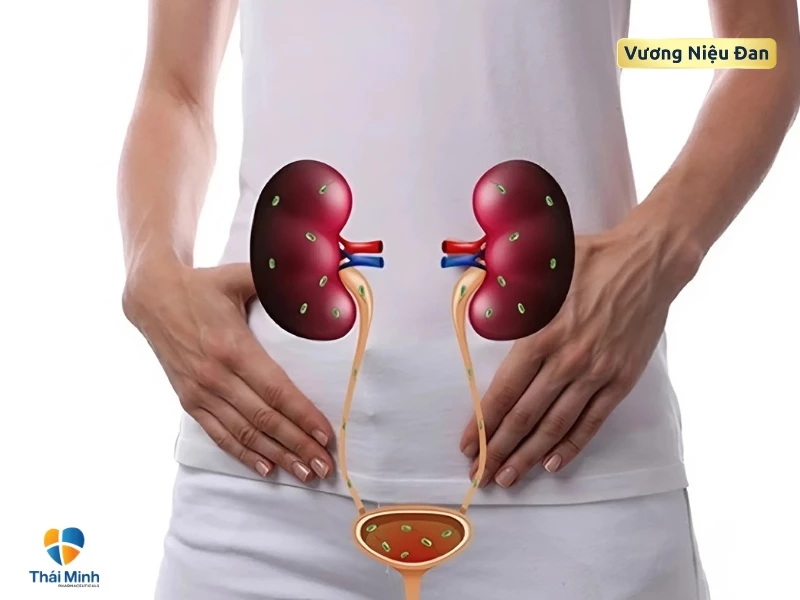 nguy cơ nhiễm trùng đường tiết niệu