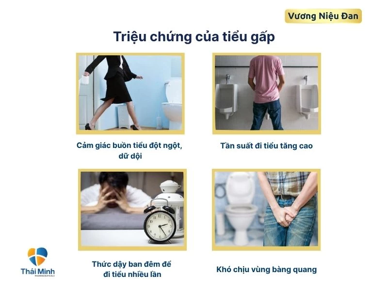 Dấu hiệu nhận biết tiểu gấp
