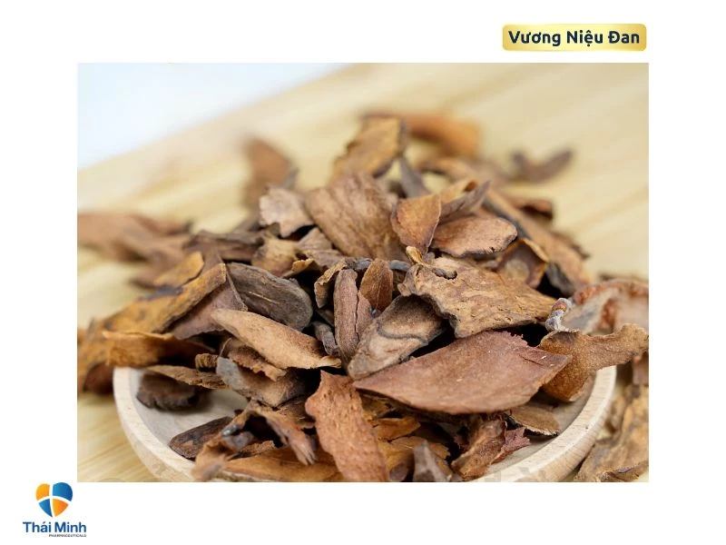 Cốt toái bổ ngăn ngừa tiểu đêm.