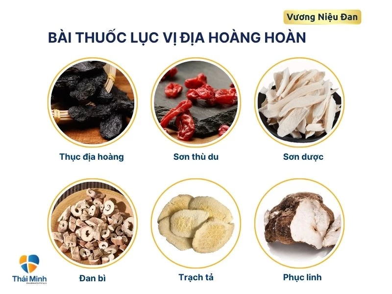 Chuẩn bị nguyên liệu thuốc Địa Hoàng Hoàn