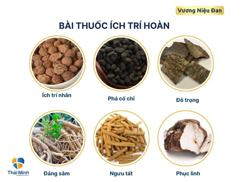  Chuẩn bị nguyên liệu thuốc ích trí hoàn