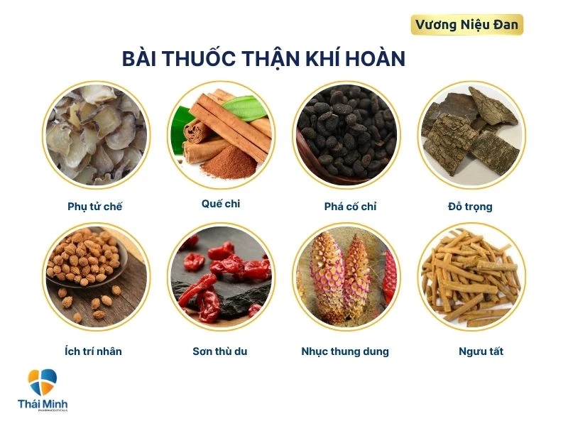 Chuẩn bị nguyên liệu thuốc thận khí hoàn