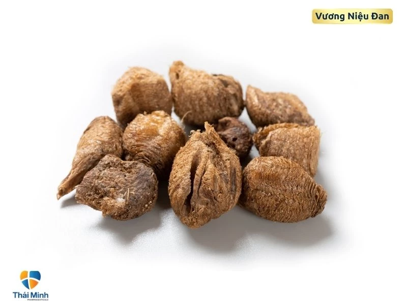 Trộn tang phiêu tiêu cùng thảo dược trị tiểu đêm