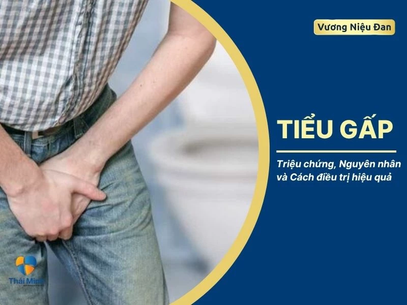 Tiểu gấp: Triệu chứng, nguyên nhân và cách điều trị hiệu quả